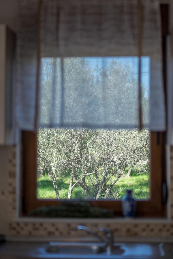 Villa Dijana West Linardići Exterior foto